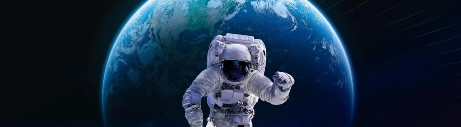 immagine della galleria 5