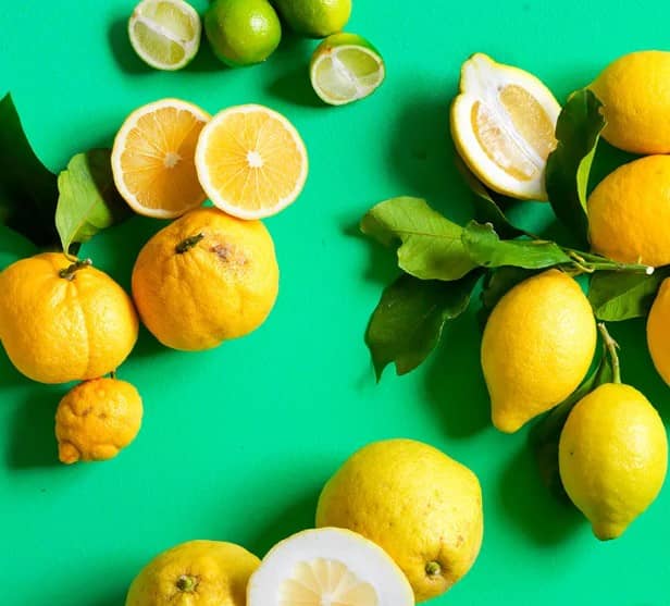 Immagine della galleria 1