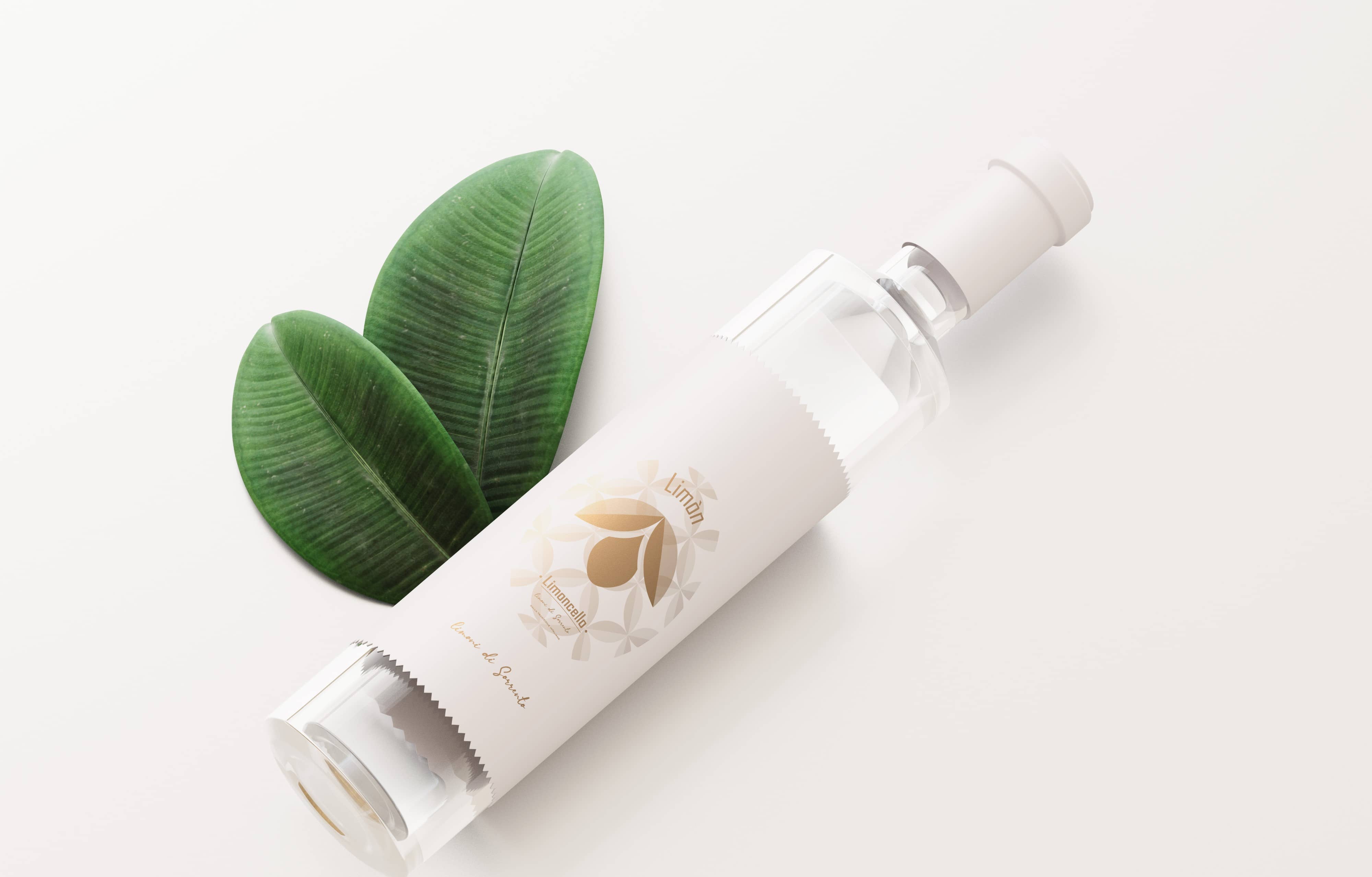 Immagine della galleria 4